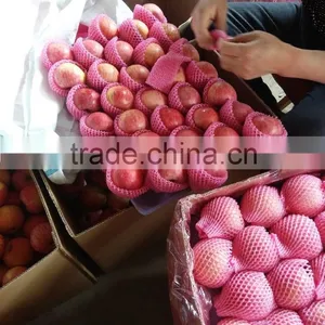 2015 Shandong FUJI APPLE thumbnail-2