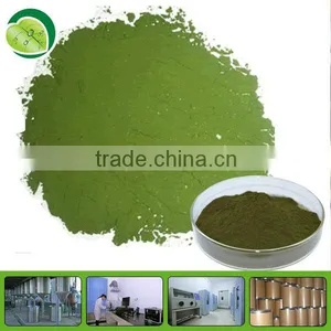 Natural Wheat Grass Extract Powder Organic Wheat Grass Powder thumbnail-1