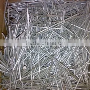 Common Nails With Good Quality thumbnail-5