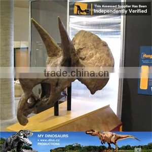 MY Dino-C087 Amusement Park Life Size Triceratops Skeleton thumbnail-3