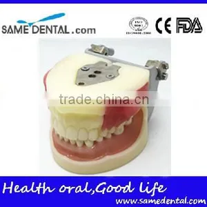 Dental Eduction Assistant No. DEA-04 thumbnail-2