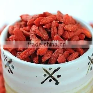 Oriental Chinese Herbal , Goji Berry or Goji Berries thumbnail-5