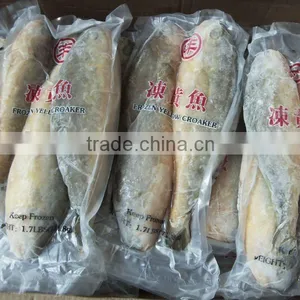 On Sale Fresh High Quality Frozen Yellow Croaker Fish thumbnail-1