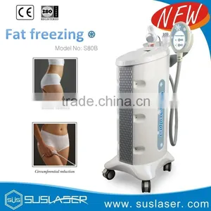 Cool Slimming Machine/3 Handles Fat Freezing Machine /body Sculpting Machine thumbnail-2