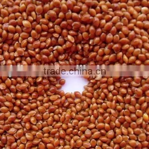 Hot Sale Best Price of Red Broomcorn Millet 2016 Crop Market Price thumbnail-4