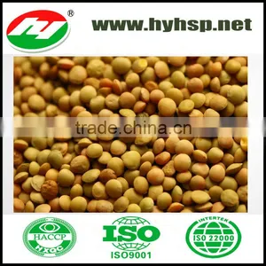 Chinese Green Lentils thumbnail-1