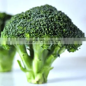 10kgs Fresh Frozen Broccoli With Favorable Price thumbnail-1