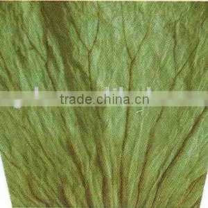 Lotus Leaf thumbnail-1