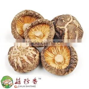 Dried Shitake Mushroom thumbnail-1