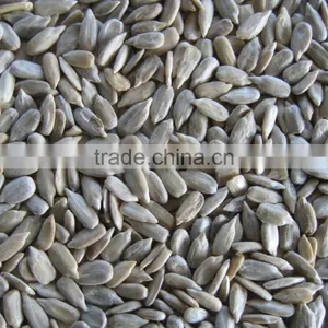 Hulled Sunflower Seeds Price Confectionery Grade&bakery Grade thumbnail-2