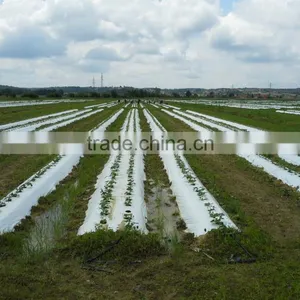 Pure Natural Organic Granular Fertilizer Application Humic Acid for Sale thumbnail-4