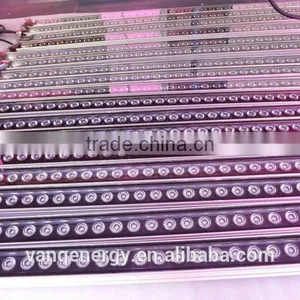 Wifi Controller LED Grow Light 54w For Greenhouse Project New Technolgy Smart LED Lighting thumbnail-3