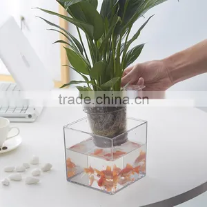 Round Clear Plastic Orchid Pot thumbnail-1