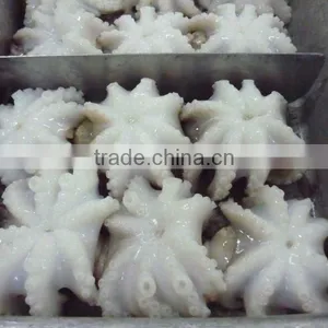 Baby Octopus/ Frozen Baby Octopus thumbnail-6
