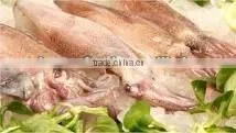 Frozen Whole Baby Squid thumbnail-1