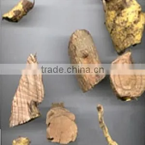 Salacia Dry Extract thumbnail-2