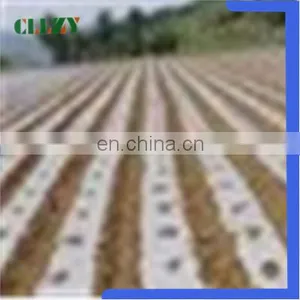 Cheap Price Pla Biodegradable Material Made in China thumbnail-2