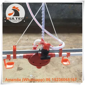 Salvador Poultry Farming Equipment Broiler Floor Raising System & Chicken Deep Litter System With Automatic Drinking& Feeding System in Chicken Coop thumbnail-3