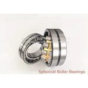 Spherical Roller Bearings thumbnail-1
