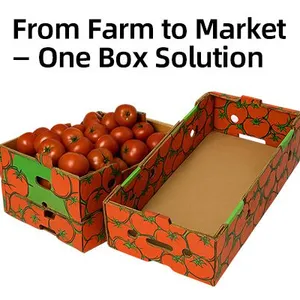 Wax Coated Corrugated Carton for Lobster Crab Shrimp Seafood Cold Chain Transport and Export Packaging thumbnail-4