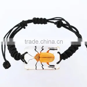 Latest Hippie Bracelet Beads as Promotion Gifts With Real Insect thumbnail-5