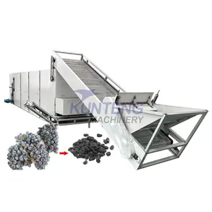 Large Automatic Food Dryer / Dehydrator Machine Fruit Dryer Grape Dryer EPC thumbnail-1