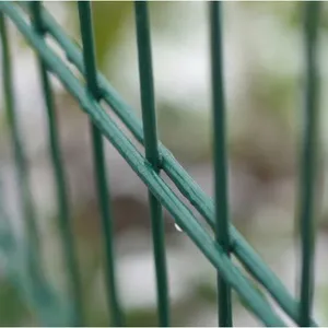 2D Double Wire Fence Panel | Galvanized Welded Mesh Security Fence for Commercial and Industrial Areas thumbnail-1