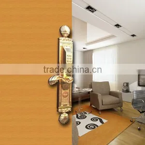 Taiyito Zigbee Home Automation Wireless Network Door Lock, Camera Door Lock thumbnail-1