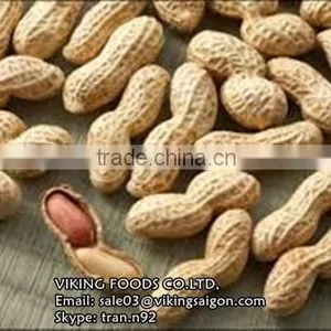 GROUNDNUTS/PEANUTS KERNELS_VIETNAM_BEST PRICE_GOOD QUALITY thumbnail-1
