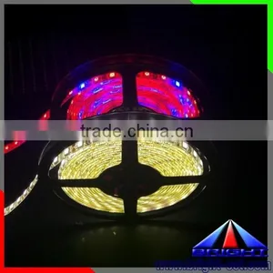 2016 Colorful Led Strip 5050 Grow Plant Light ,ip66 New Style Hot Sell Long Life Time Led Plant Grow Light Strip thumbnail-4