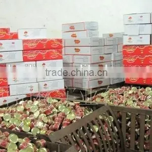 70g~3000g Size Canned Tomato Paste Factory 28-30 Brix. Hot Sale In African Market. thumbnail-2