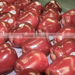 Fresh Royal Gala Apples, Fuji Apples, Golden Delicious Apples, Washington Red Delicious Apples thumbnail-1