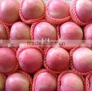 Fragrant Qinguan Apple thumbnail-1