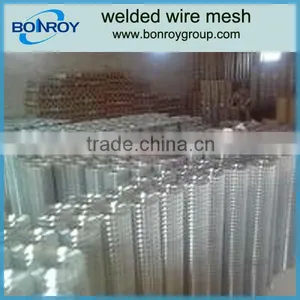 Welded Rabbit Cage Wire Mesh thumbnail-1