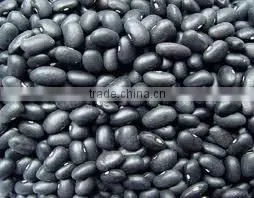 Red Kidney Beans thumbnail-3
