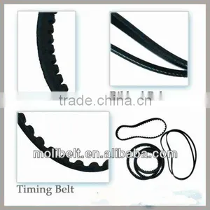 Moli Super v Belt thumbnail-1