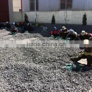 Henan Bentley Metallurgical Materials Co., Ltd. company overview - view 2 thumbnail