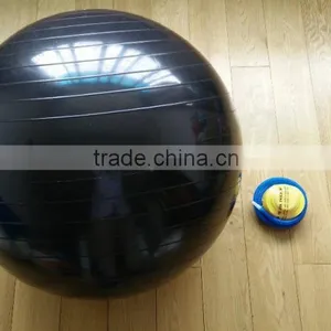 Exercise Ball thumbnail-1