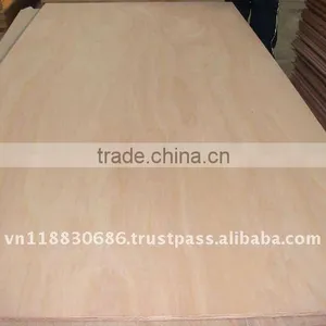 Packing Plywood-manufacturer VietNam thumbnail-1