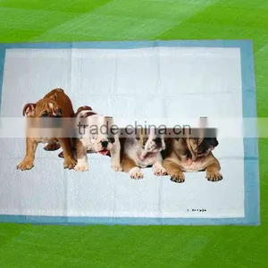 Disosale Underpads for Pet Training thumbnail-1