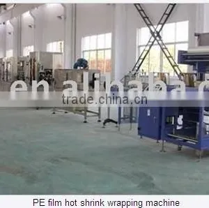 PE Film Hot Shrink Wrapping Machine thumbnail-1