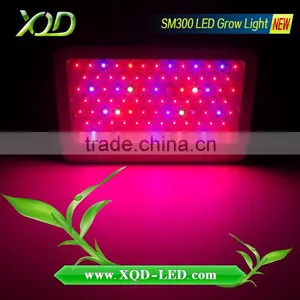 UV Red Blue Indoor Hydroponic 300w Led Grow Lamp thumbnail-3
