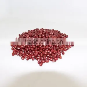 Adzuki Bean thumbnail-4