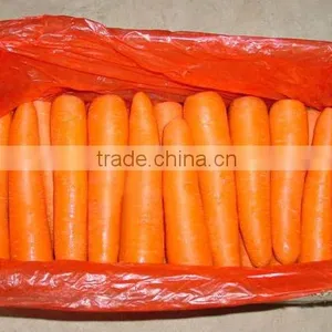 Yes to Carrots thumbnail-1