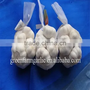 2017 Fresh Pure White Garlic thumbnail-4