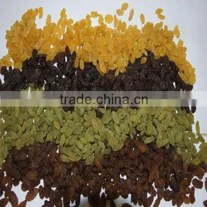 Kinds of Raisins High Quality With Kosher thumbnail-1