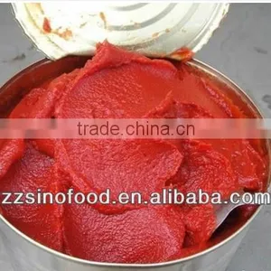 Canned Food Canned Tomato Paste Brix 28-30% thumbnail-1