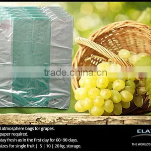 Pomegranate Protecting Bags thumbnail-3