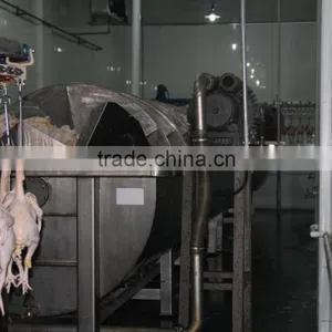 Halal Chickens Slaughtering Equipment for Abattoir House thumbnail-4