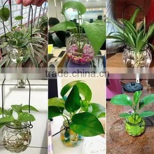 Hang Transparent Glass Vase/Other Copper Grass Plants Hang Bottle Hydroponic Flower Pot thumbnail-5